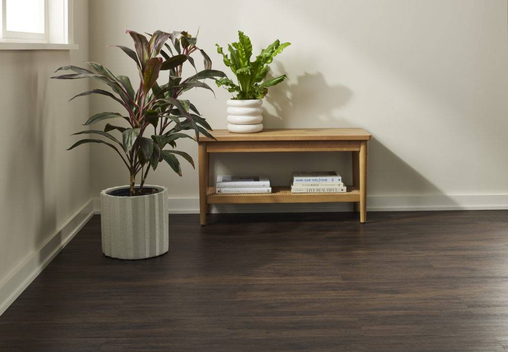 dark wood vinyl floor with wood bench and large white potted plant